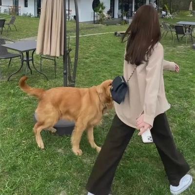绿女神