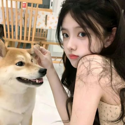 超级救援狗